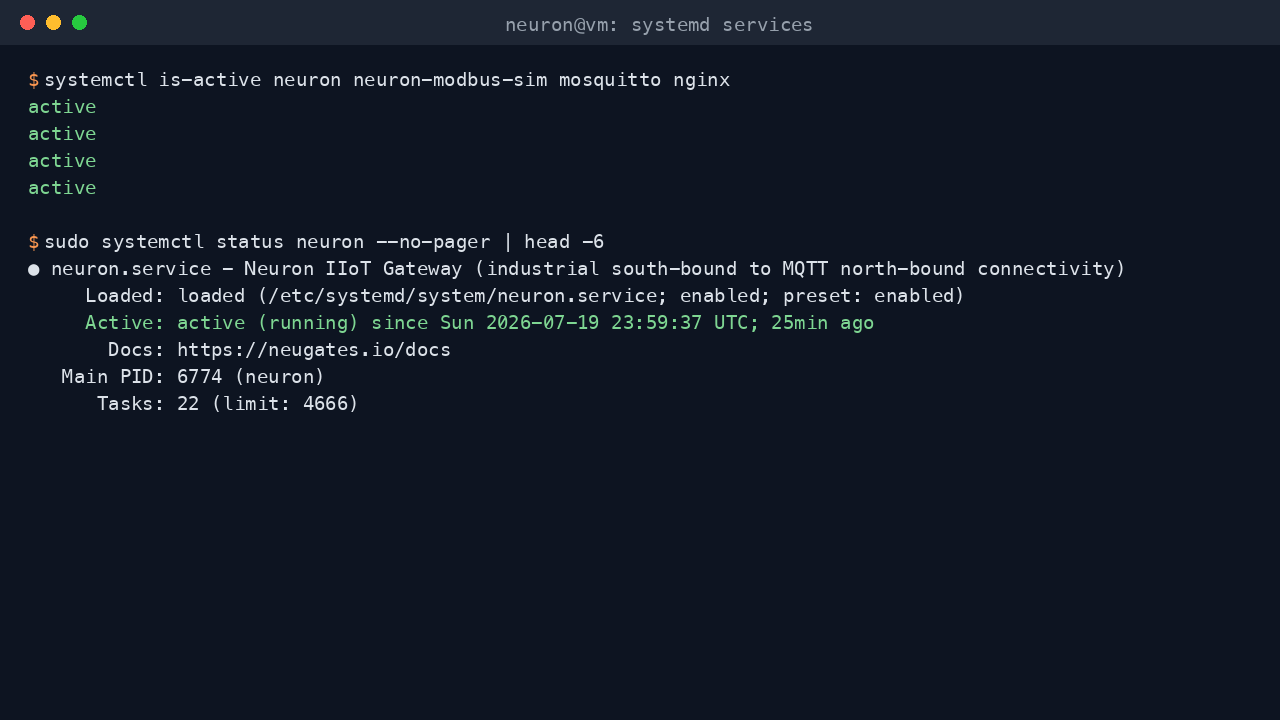 Neuron systemd services reported active on the VM