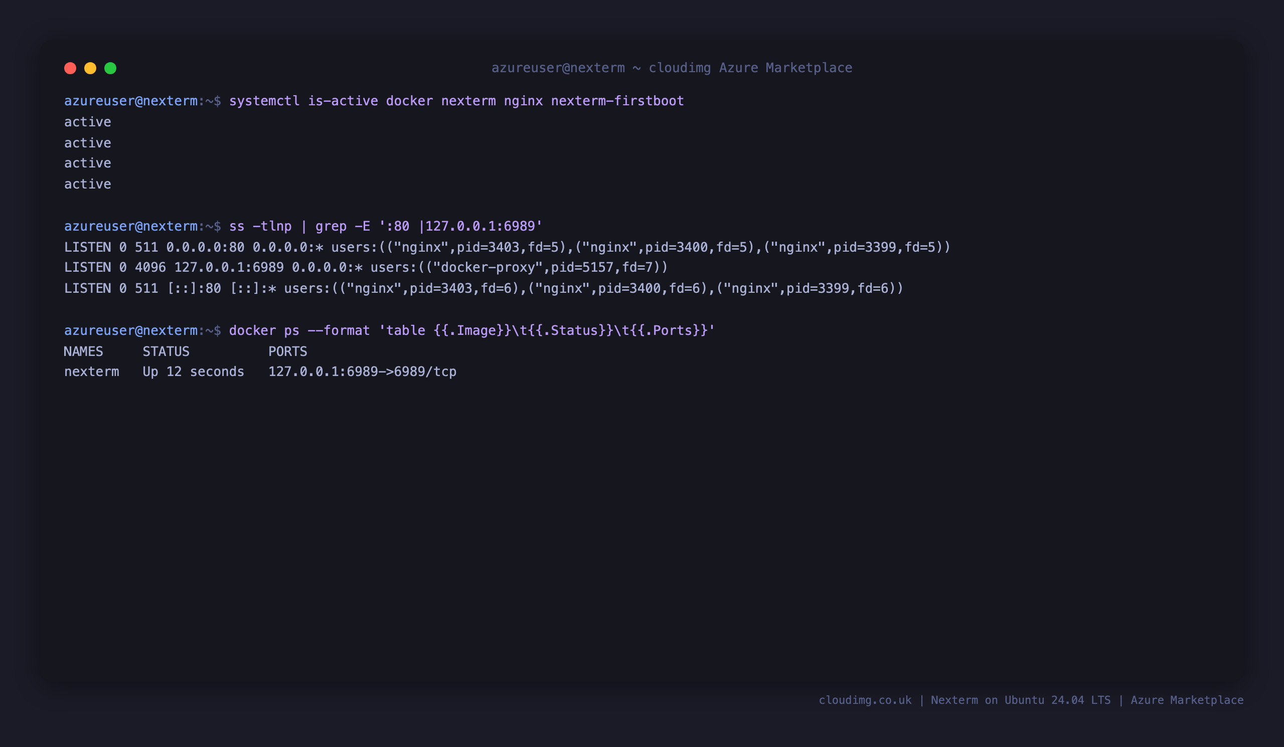 docker, nexterm, nginx and the first boot service all active, nginx bound to port 80, the container published on 127.0.0.1:6989, and the nexterm container running