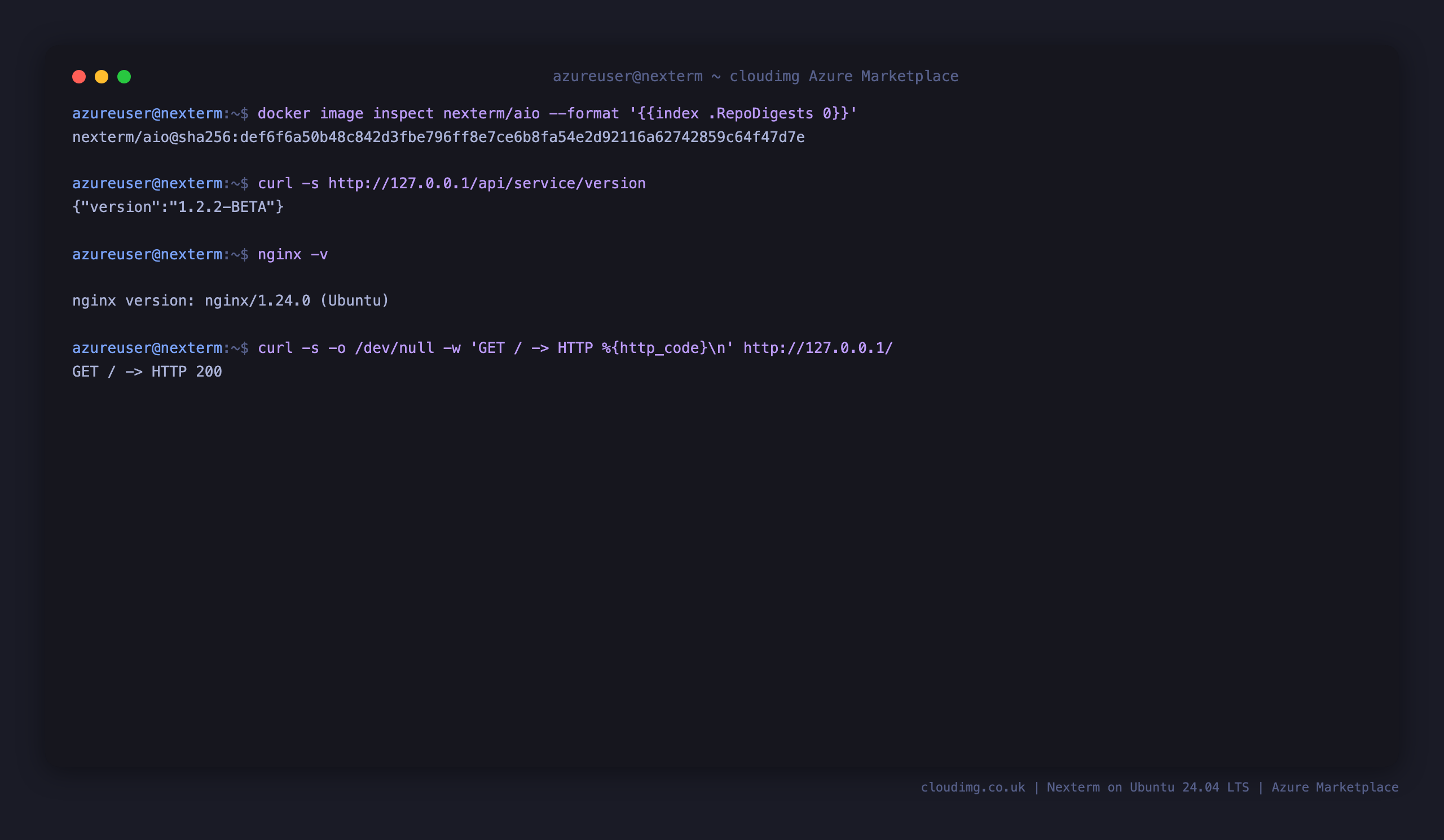 The pinned Nexterm image digest, the Nexterm version endpoint, nginx 1.24 and the console returning HTTP 200 through nginx