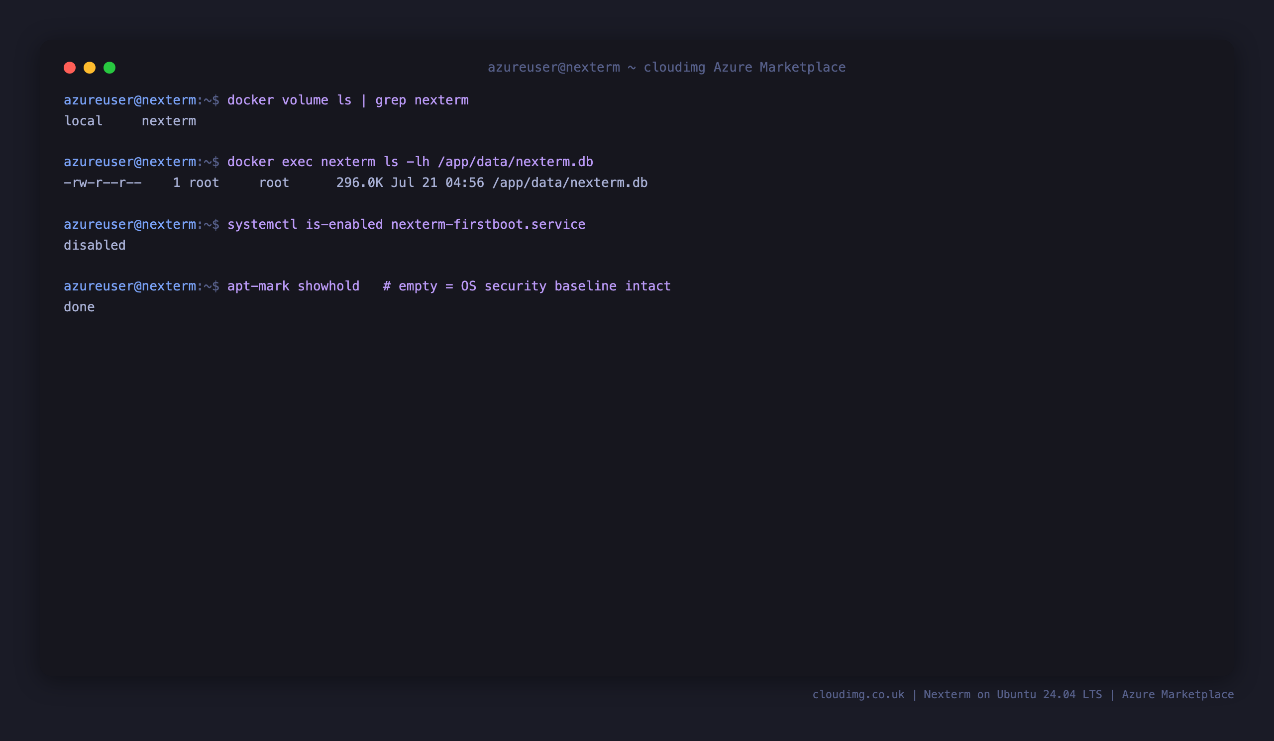 The nexterm Docker volume, the nexterm.db database inside it, the first boot service enabled, and an intact OS patch baseline with no held packages