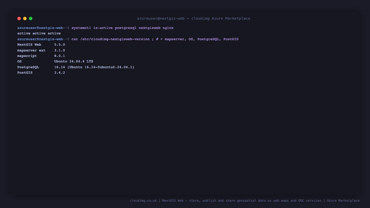 Every tier of the NextGIS Web appliance reported active, and the exact shipped versions of NextGIS Web, the MapServer extension, the OS, PostgreSQL and PostGIS