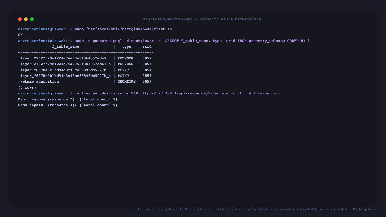 The end-to-end self-test printing OK, and the PostGIS geometry tables that back the demo vector layers