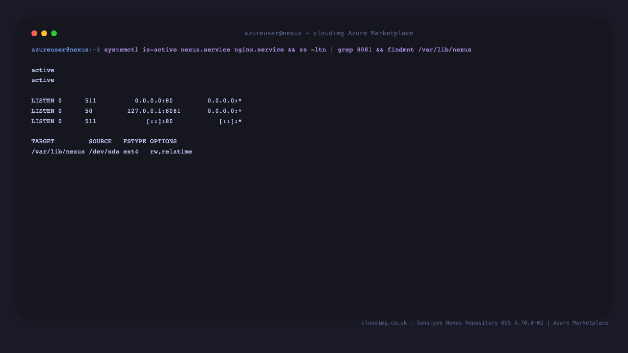 Nexus Repository services active, listening on loopback 8081, data disk mounted at /var/lib/nexus