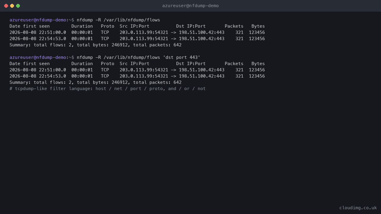 Terminal showing nfdump querying the flow archive with the default output format listing date, duration, protocol, source and destination address and port, packets and bytes, followed by a filtered query for destination port 443 returning only the matching flows