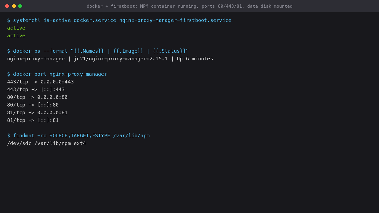 docker.service and the firstboot service active, the Nginx Proxy Manager container running with ports 80, 443 and 81 published, and the dedicated data disk mounted at /var/lib/npm