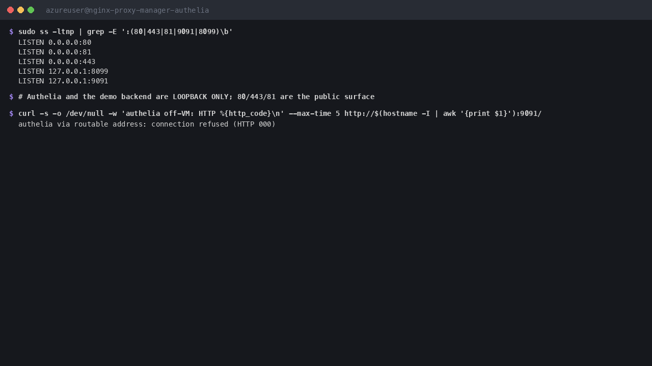 The listening sockets showing ports 80, 443 and 81 on the public interface while Authelia and the demo backend are bound to the loopback address only