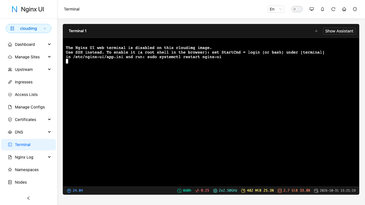 The Nginx UI terminal page showing that the web terminal is disabled on this image