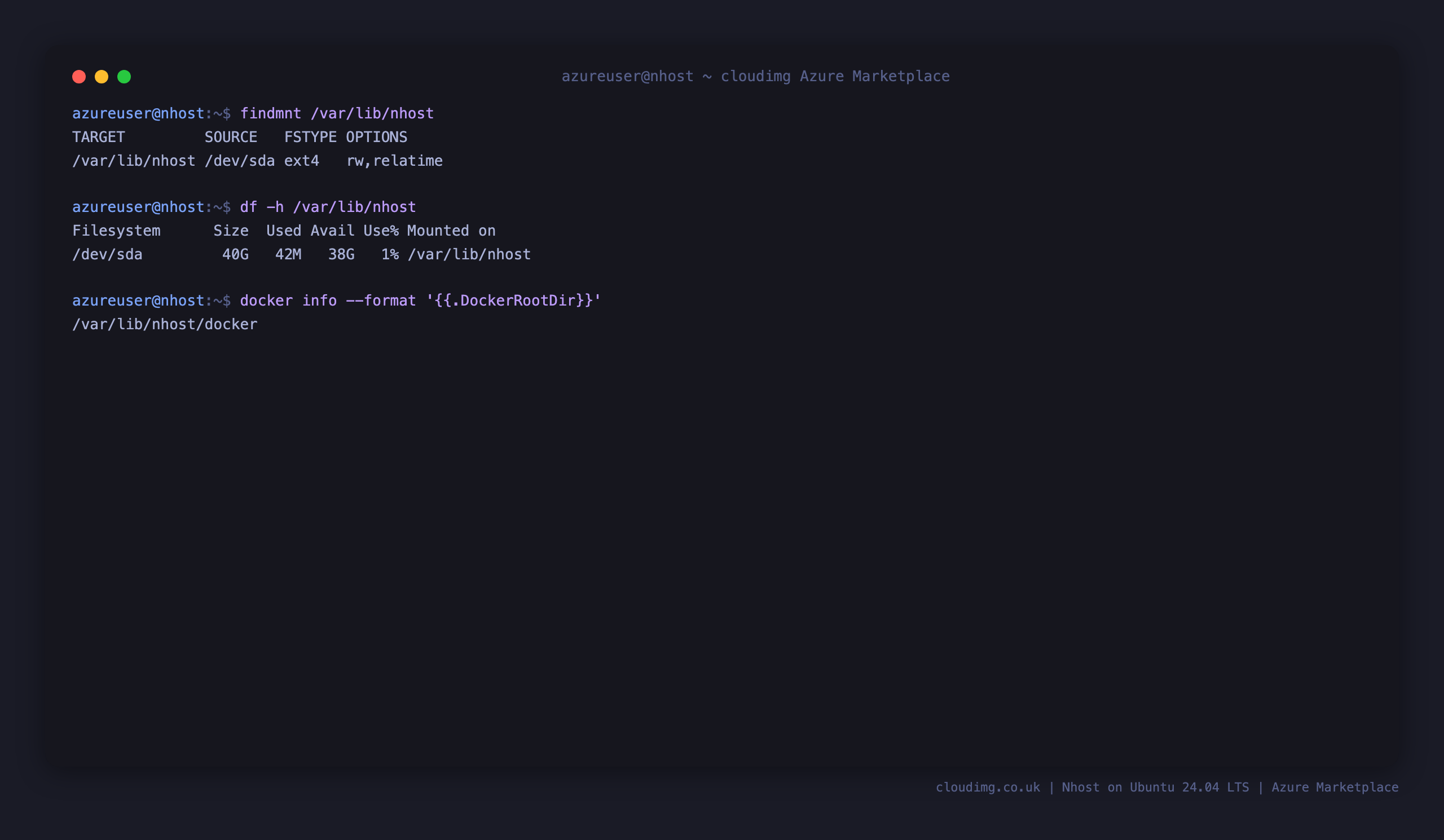 The dedicated Nhost data disk mounted at /var/lib/nhost with Docker's data root relocated onto it
