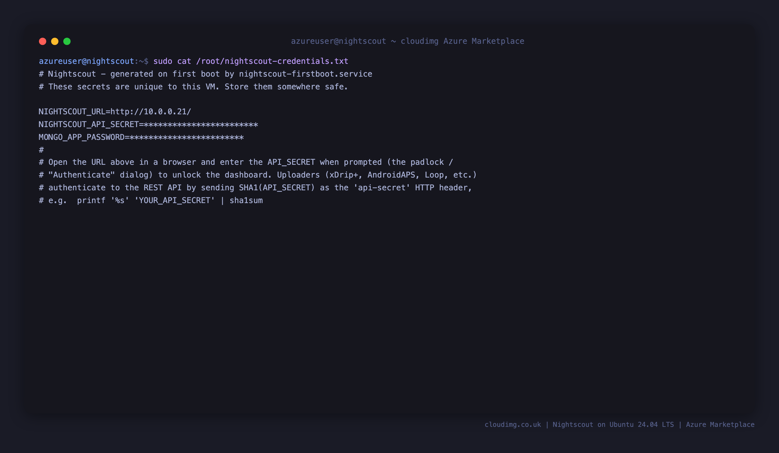 The per-VM Nightscout credentials file, with the generated API secret and MongoDB password