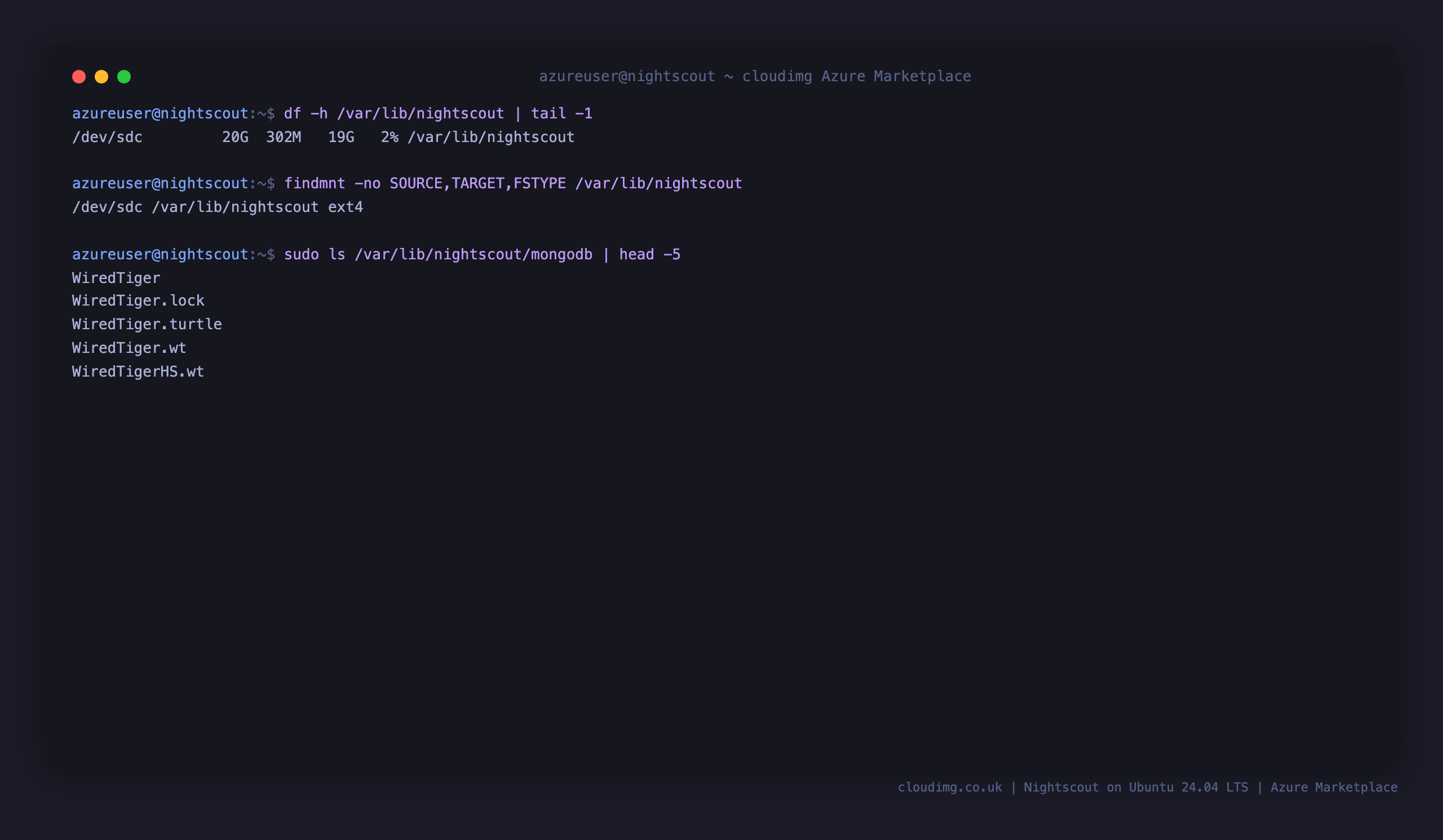 The MongoDB dbPath on the dedicated ext4 data disk, listing the WiredTiger data files