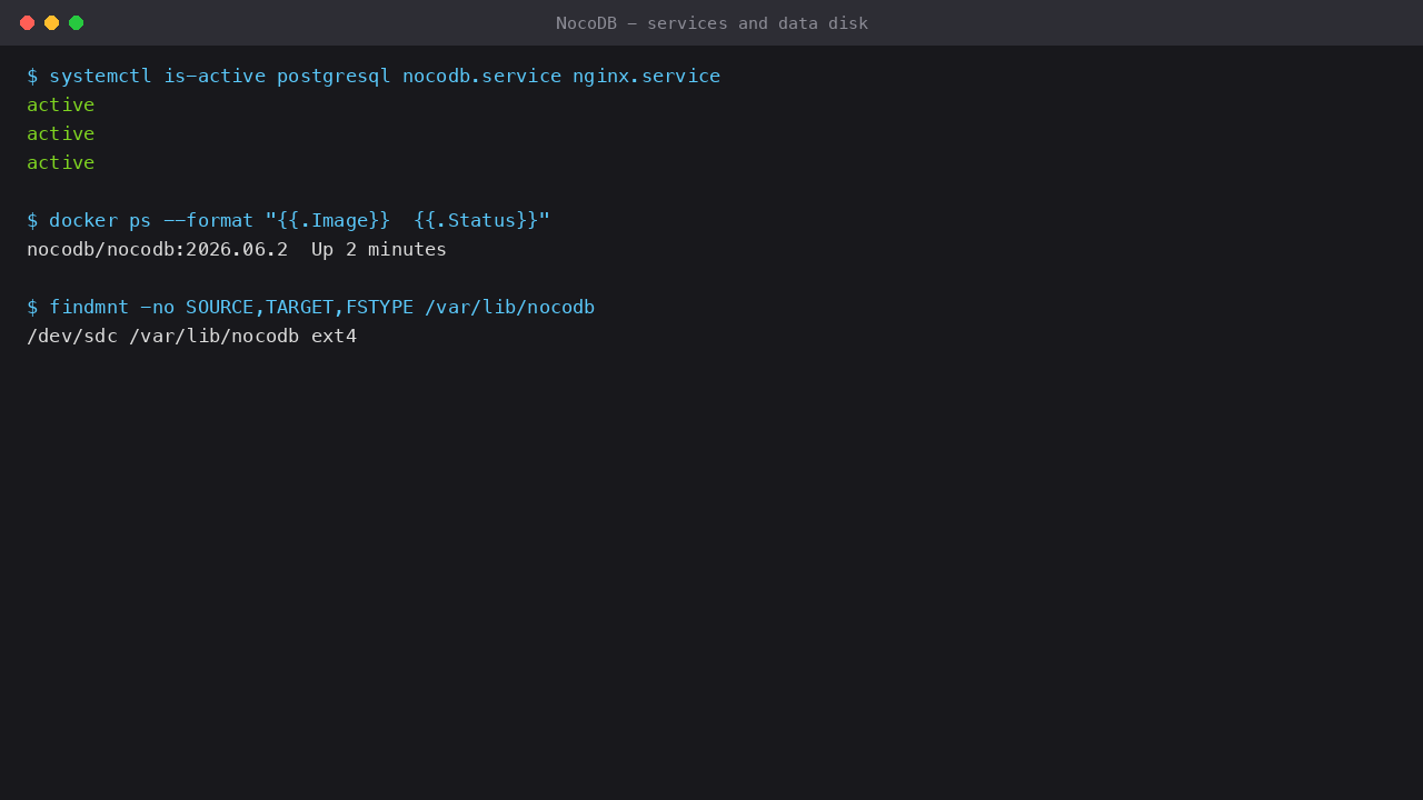 postgresql, nocodb.service and nginx.service active with the dedicated data disk mounted