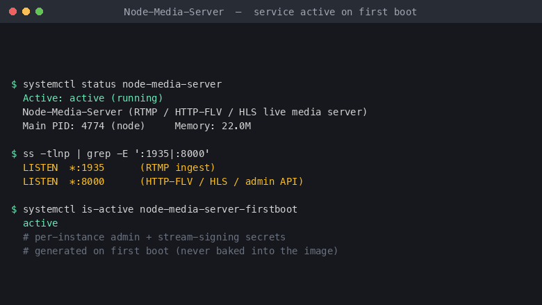 Node-Media-Server running under systemd with RTMP and HTTP ports listening