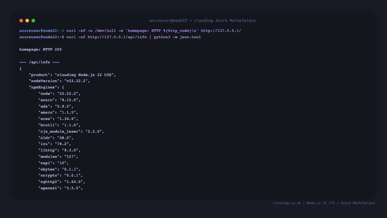 Express homepage HTTP 200 and /api/info JSON with Node version
