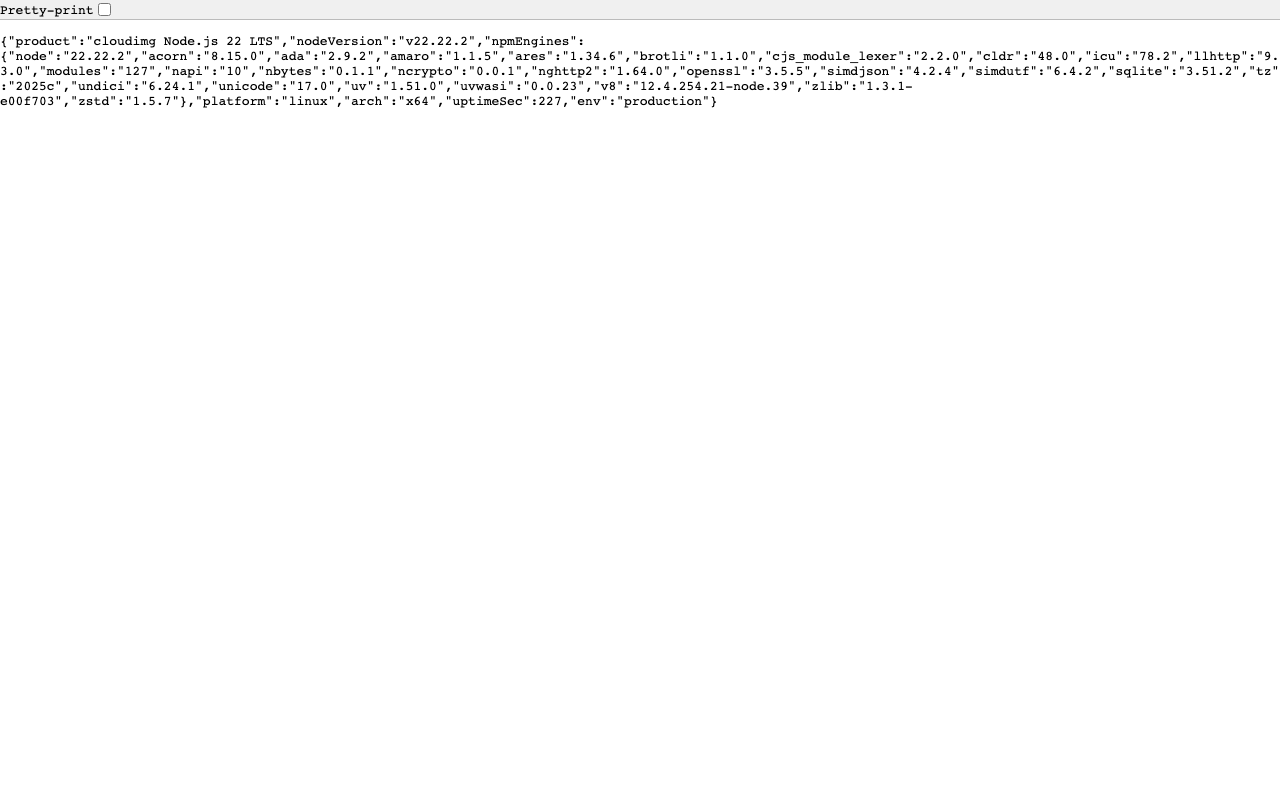 Browser view of /api/info returning JSON with nodeVersion and uptime