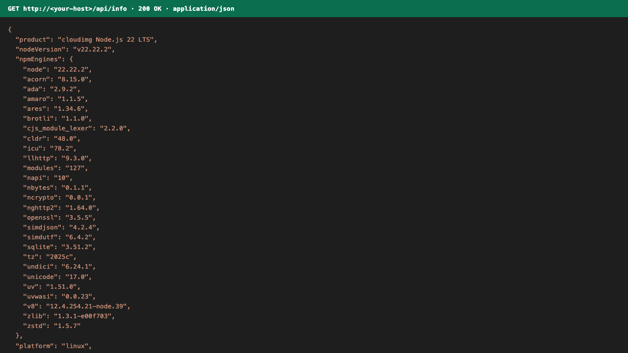 GET /api/info returns runtime metadata as JSON