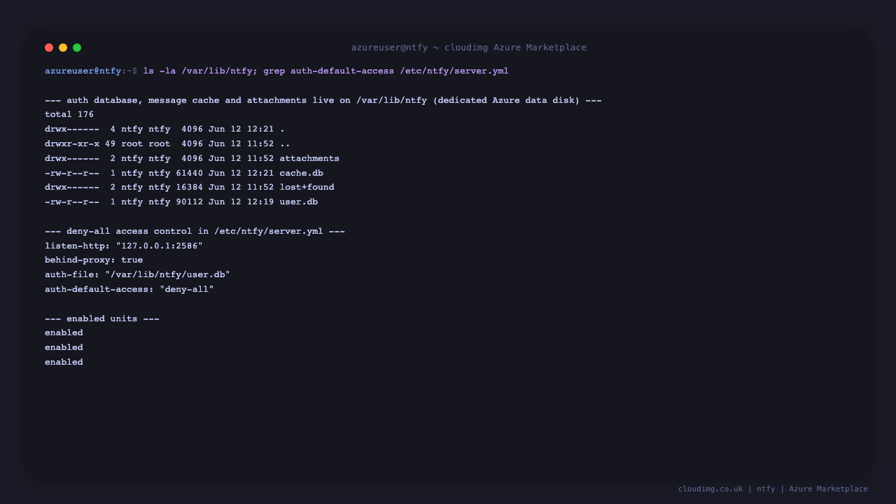 ntfy version and data disk