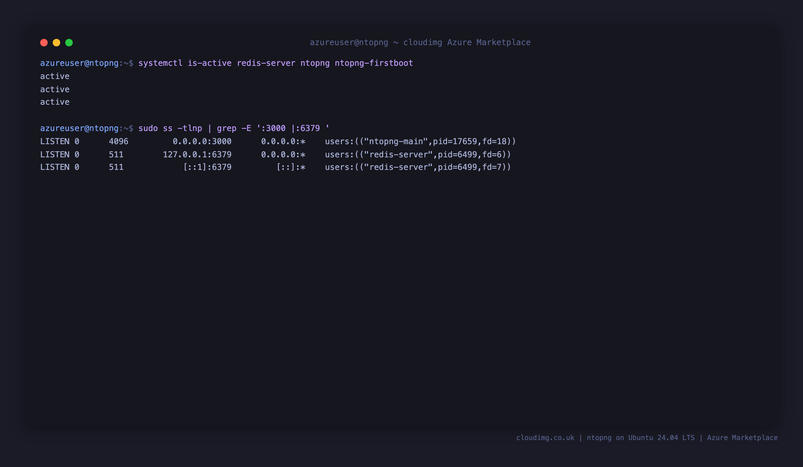 The redis-server, ntopng and ntopng-firstboot services active, with ntopng listening on port 3000 and Redis on loopback port 6379