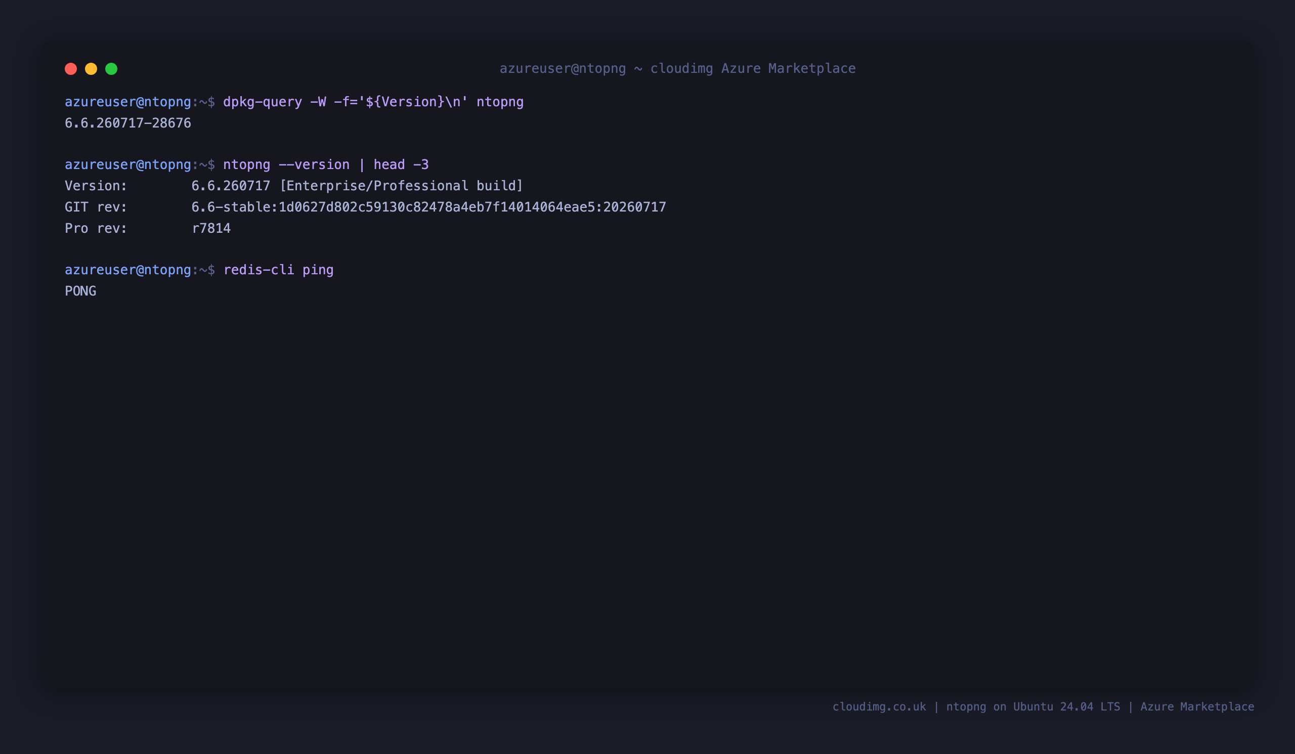 The installed ntopng community version, the ntopng build banner and the Redis backing store answering PONG