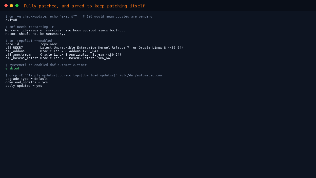 Confirming the image is fully patched
