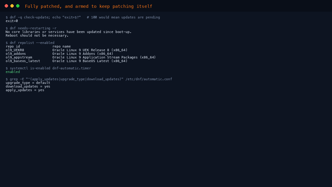 Confirming the image is fully patched