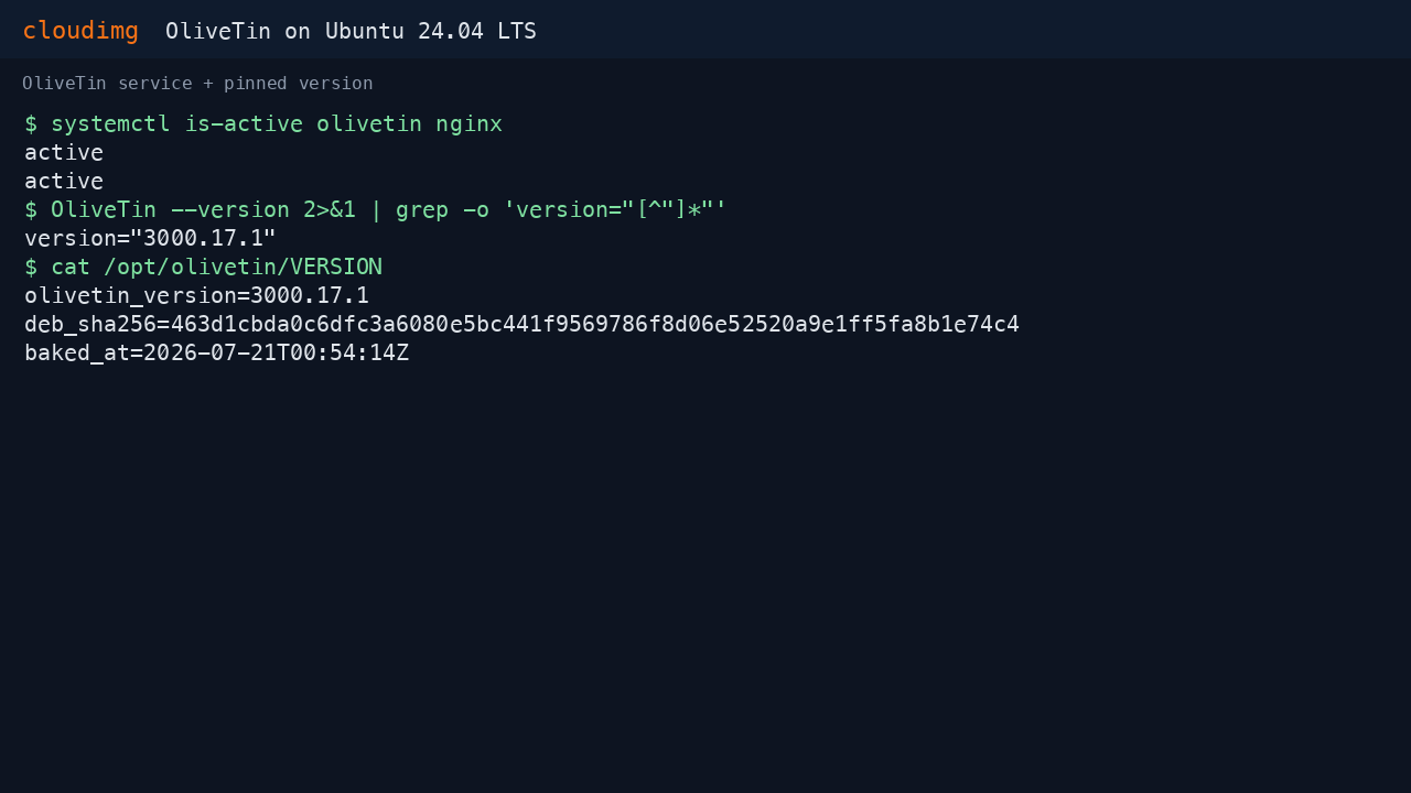 The olivetin and nginx services reporting active, the OliveTin binary reporting version 3000.17.1, and the baked version and sha256 recorded in the VERSION file