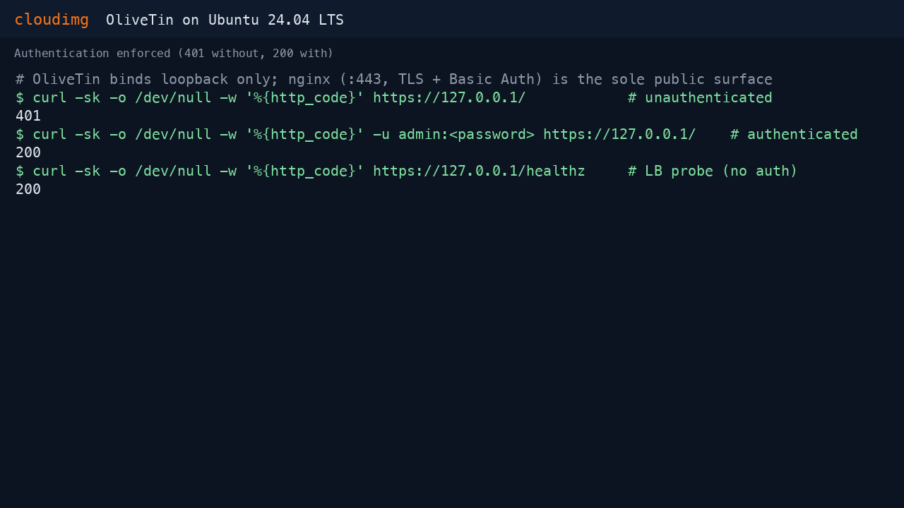 Three curl calls proving authentication is enforced: an unauthenticated request returns 401, an authenticated request with the per VM credential returns 200, and the unauthenticated healthz probe returns 200