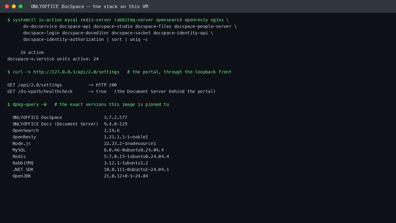 Every service in the DocSpace stack reporting active, with the pinned DocSpace, Document Server, OpenSearch, OpenResty and Node.js versions