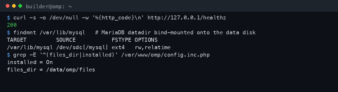 The healthz endpoint returning 200 and the ext4 data disk mounted at /data with the MariaDB datadir bind mounted onto /var/lib/mysql
