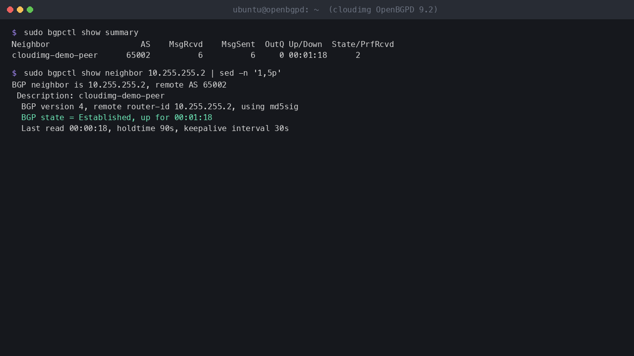 bgpctl show summary with the demo peer up and two prefixes received, and the neighbor detail showing the md5sig-authenticated session Established