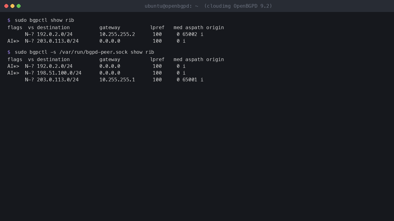 The primary's RIB with the learned 192.0.2.0/24 and the self-originated 203.0.113.0/24, and the demo peer's RIB with 203.0.113.0/24 learned from AS 65001