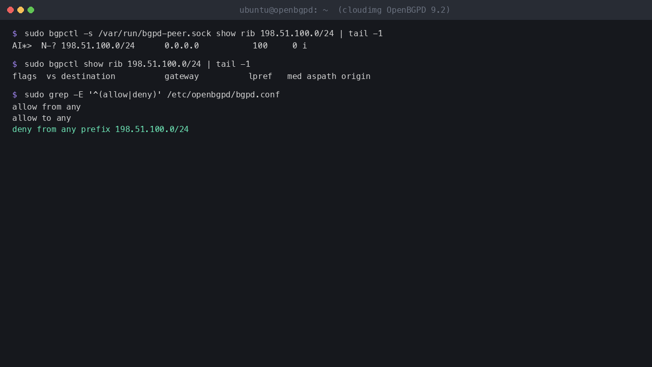 The demo peer advertising 198.51.100.0/24, the primary's RIB with no such route, and the allow and deny filter rules