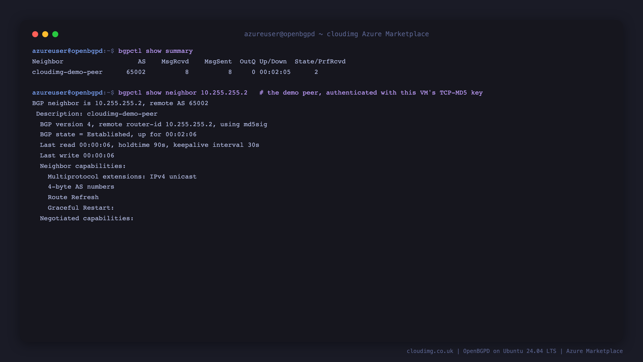 bgpctl show summary with the demo peer up, and the neighbor detail showing the Established md5sig-authenticated session