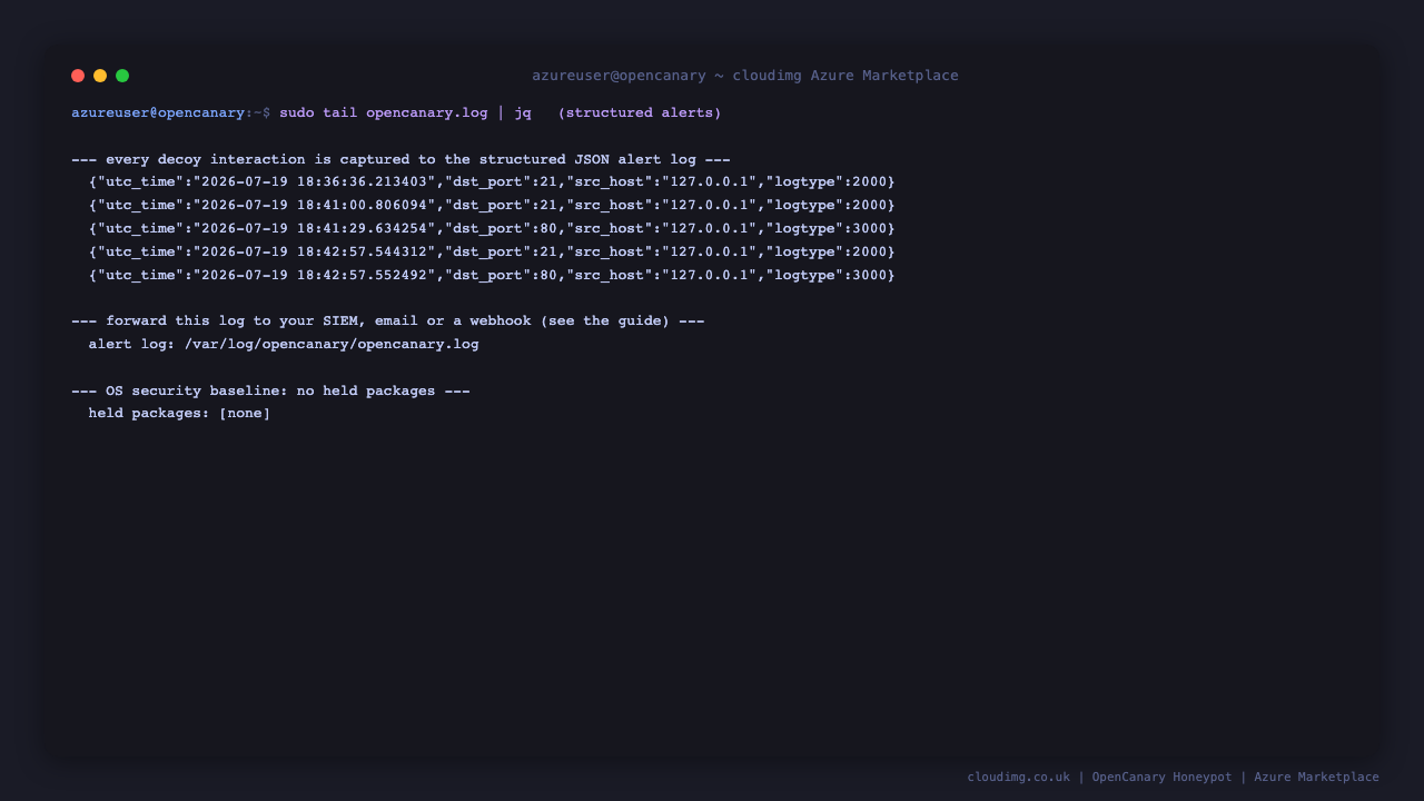Terminal showing several structured JSON alerts from the alert log, each recording the decoy port that was touched, the source host and the interaction details