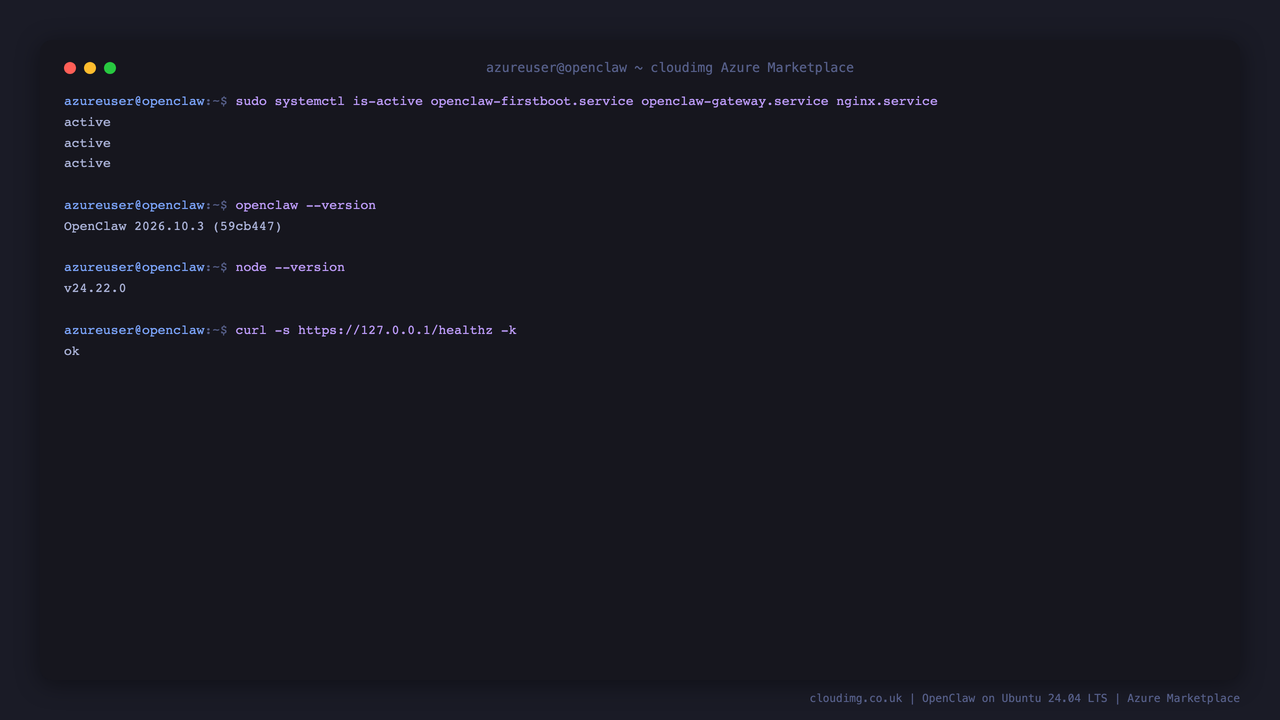 The OpenClaw services, version and runtime