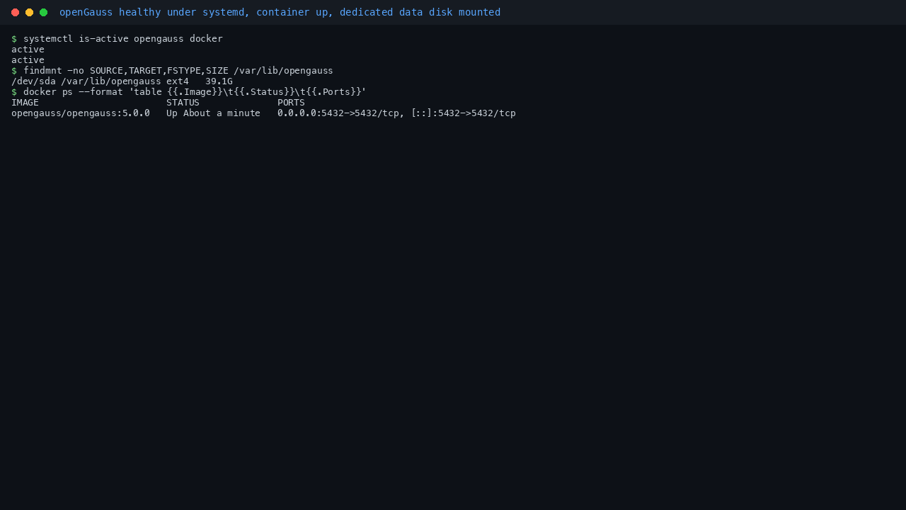 openGauss service active, container up, and the dedicated data disk mounted