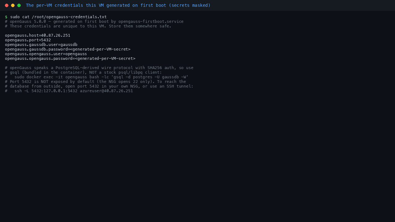 The per-VM credentials this VM generated on first boot (secrets masked)