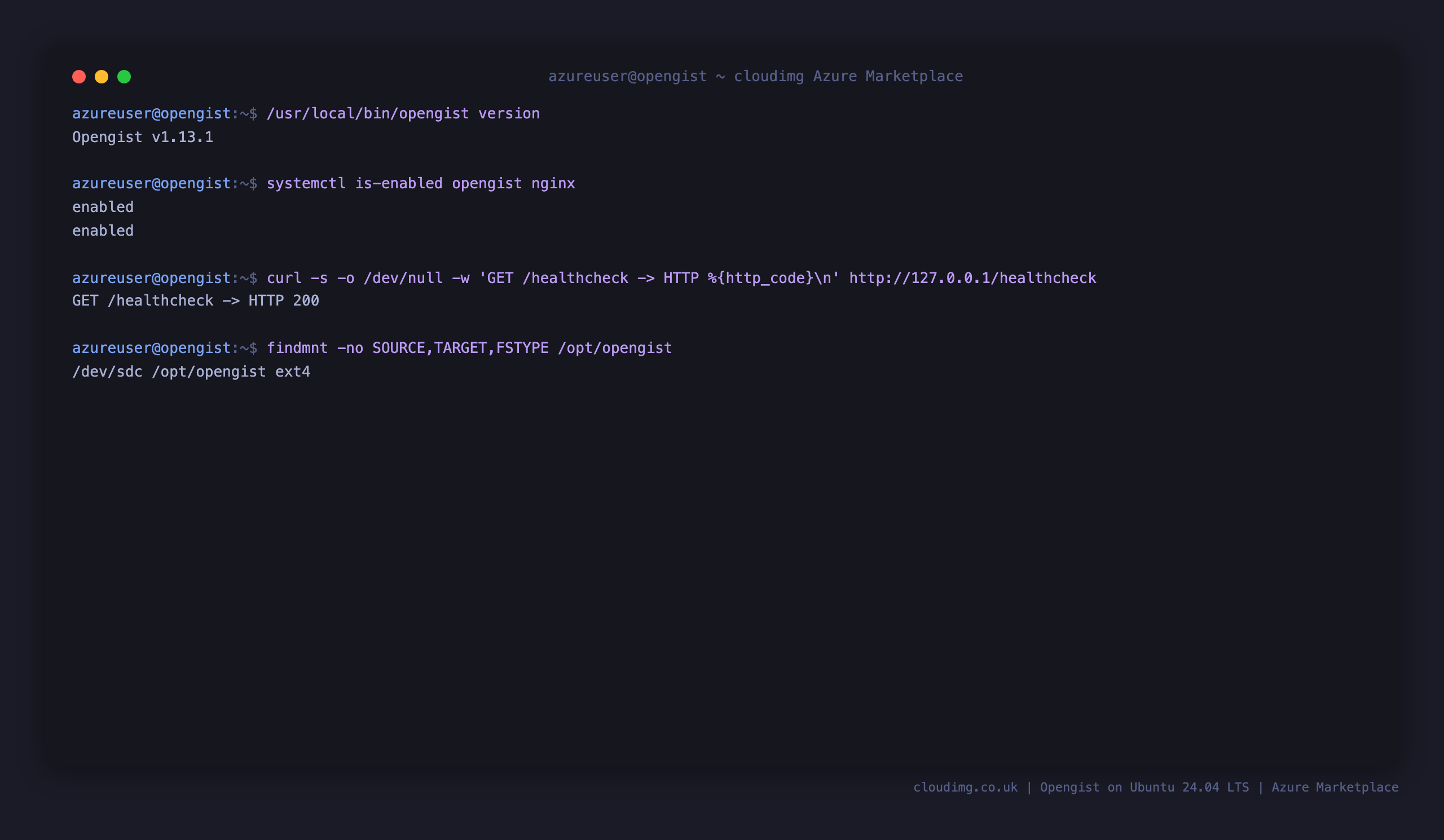 The Opengist 1.13.1 version, the enabled opengist and nginx units, the health endpoint returning HTTP 200 through nginx, and the dedicated ext4 data disk mount