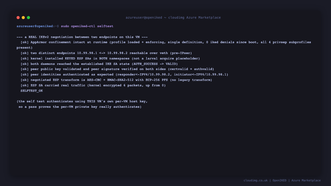 The built in self test performing a real IKEv2 negotiation: keyed ESP security associations installed in both namespaces rather than a larval placeholder, both daemons reaching the established VALID state, the peer public key validated and signature verified, the expected peer identities, an AES 256 with HMAC SHA2 512 and ECP 256 forward secrecy transform, and six packets actually encrypted by the kernel, ending in SELFTEST_OK