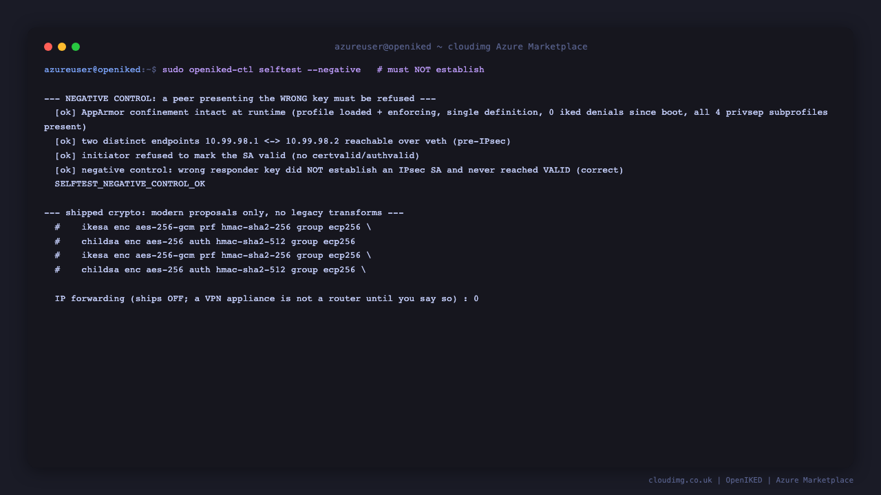 The negative control: with the responder holding the wrong private key the initiator refuses to mark the security association valid and no IPsec tunnel is established, confirming the check discriminates, alongside the shipped modern proposals and IP forwarding reporting 0 because the appliance is not a router by default