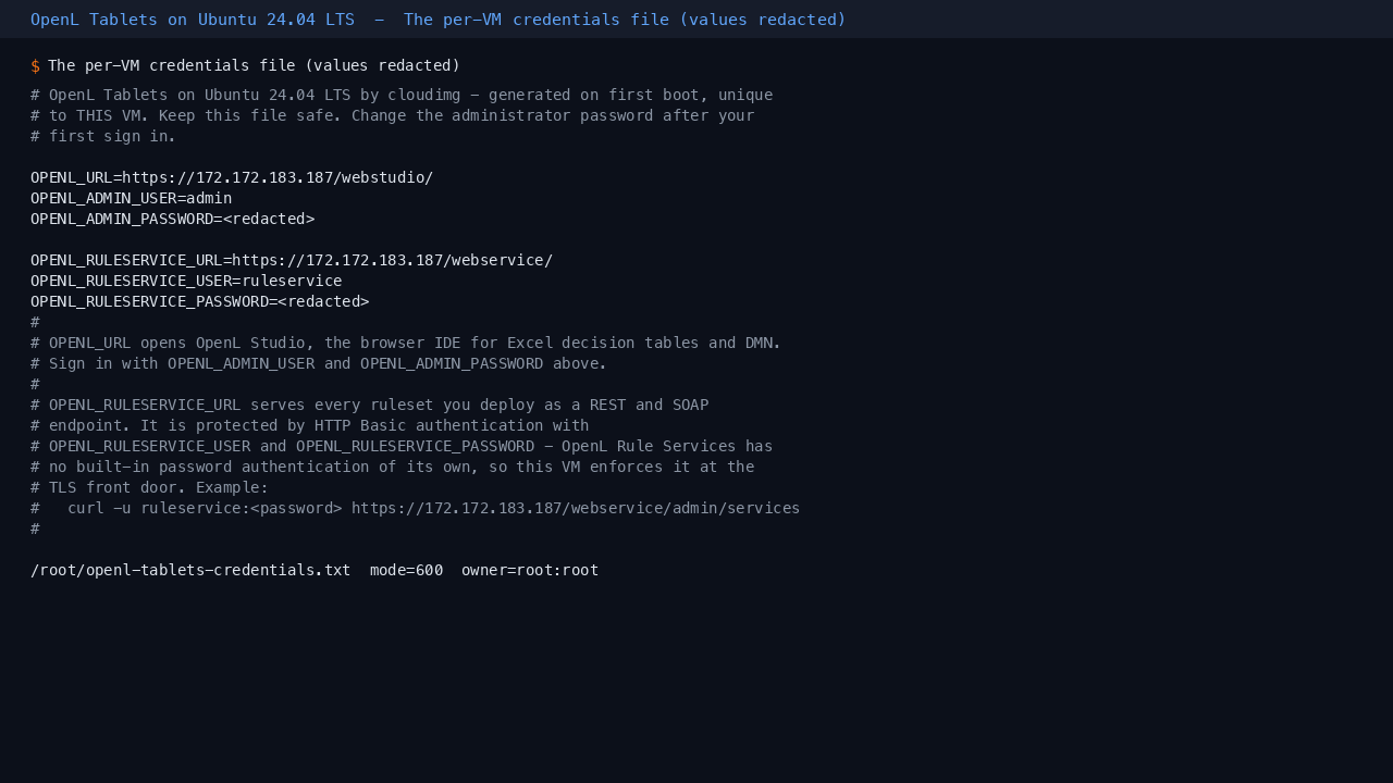 The per-VM credentials file, with values redacted