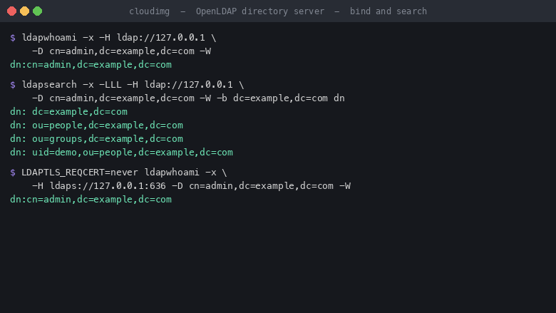 An authenticated bind and search over LDAP and LDAPS returning the seeded directory entries