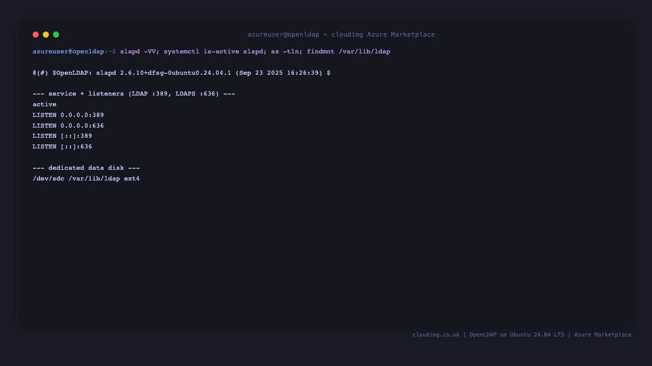 OpenLDAP version, service status, listeners and dedicated data disk