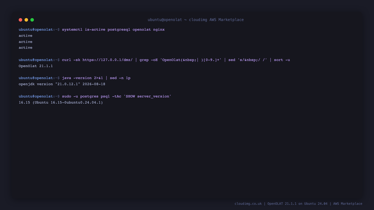 The OpenOLAT services, release, Java runtime and PostgreSQL version on a running instance