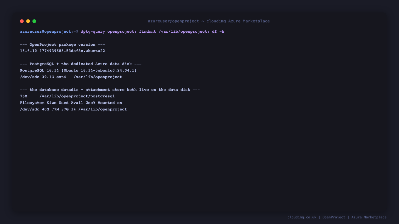 OpenProject data disk mounted at /var/lib/openproject