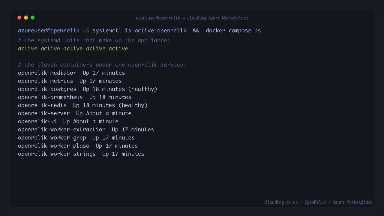 The docker, openrelik-firstboot, openrelik, openrelik-postboot and nginx services all reporting active, and the eleven compose containers (server, UI, mediator, metrics, PostgreSQL, Valkey, Prometheus and the four Celery workers) all running