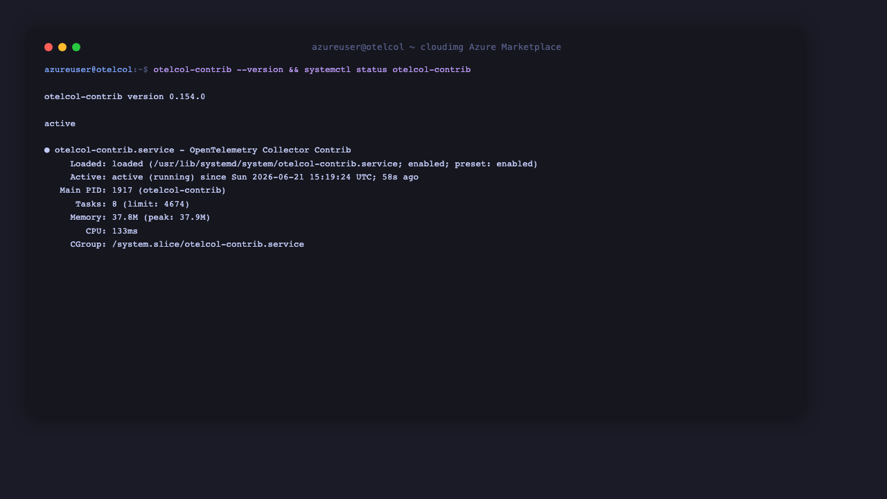 OpenTelemetry Collector version and service status