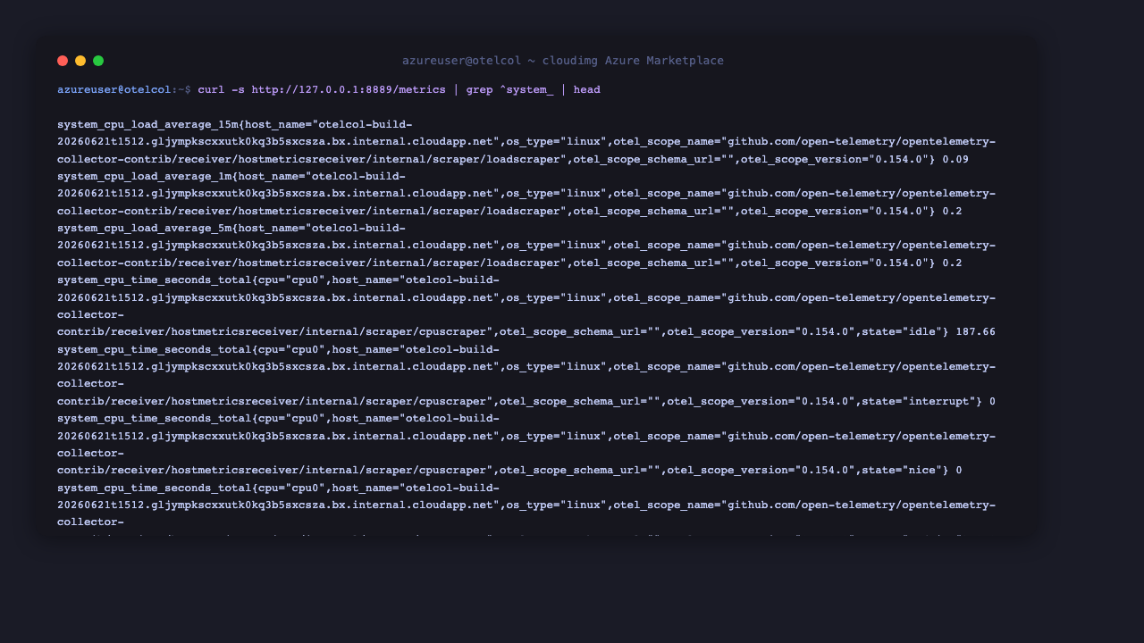 Live host metrics through the Prometheus exporter