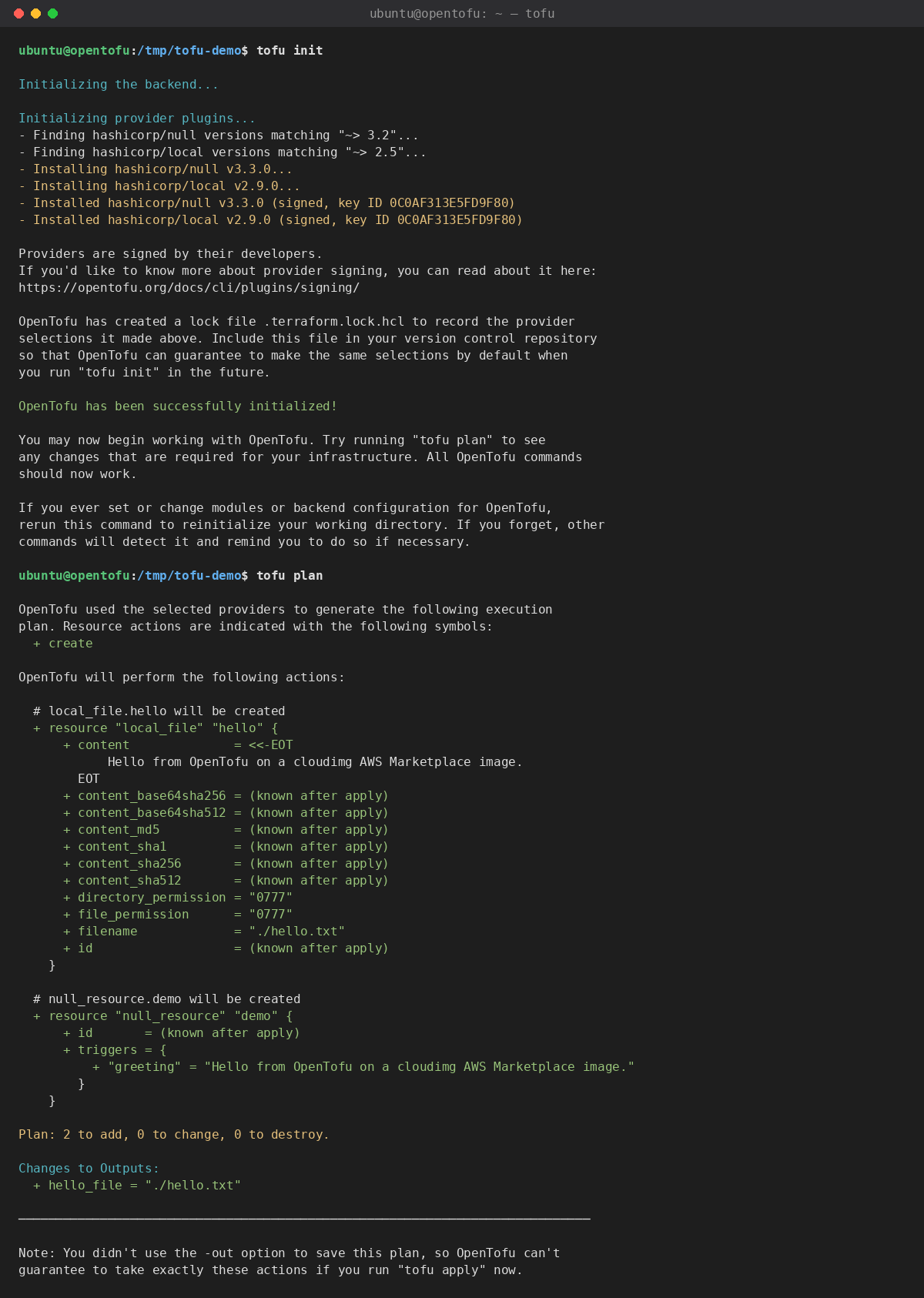 tofu init installing the providers followed by a tofu plan of the offline demo configuration