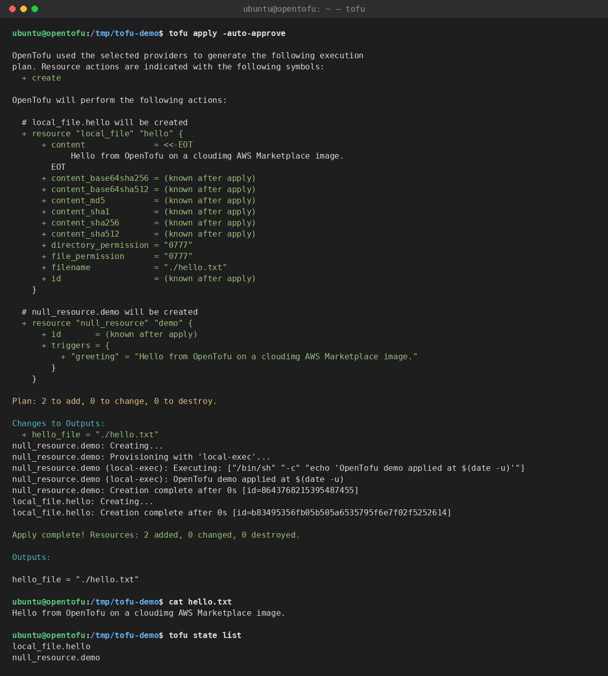 tofu apply converging the offline demo, the generated hello file and the resources in state