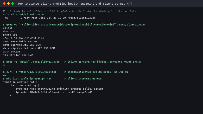 The ready-to-use client profile present at mode 0600 with its non-secret settings, the plain-text health endpoint, and the NAT rule that gives connected clients internet access